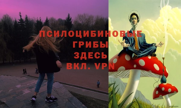 МДПВ Балахна