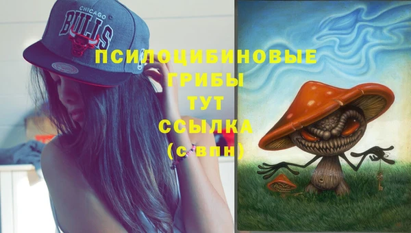 МДПВ Балахна